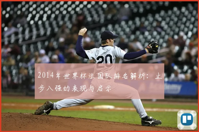 2014年世界杯法国队排名解析：止步八强的表现与启示
