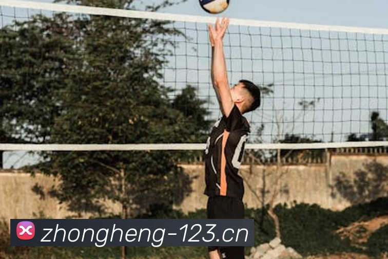 爱游戏入口发展历程