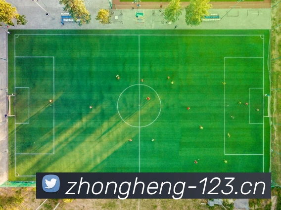 2014年世界杯法国队排名解析：止步八强的表现与启示